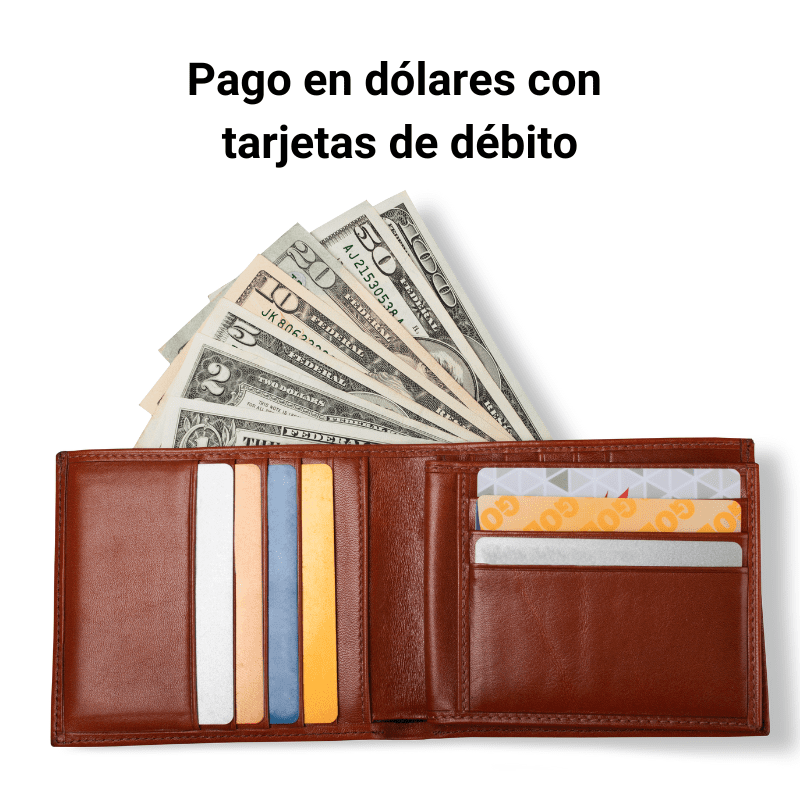 Se podrán realizar pagos en dólares con tarjetas de débito desde caja de ahorro en dólares