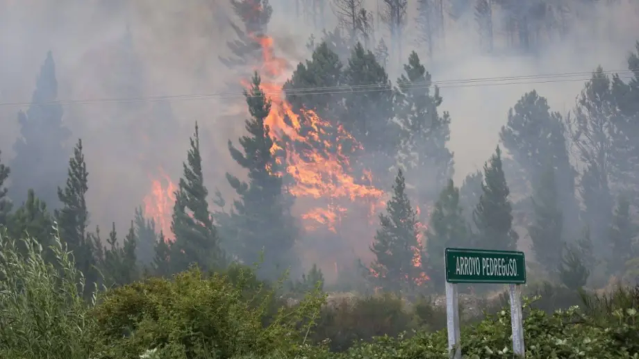 INCENDIOS EPUYEN COLECTA