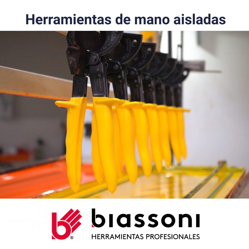 Inicio Biassoni 1097